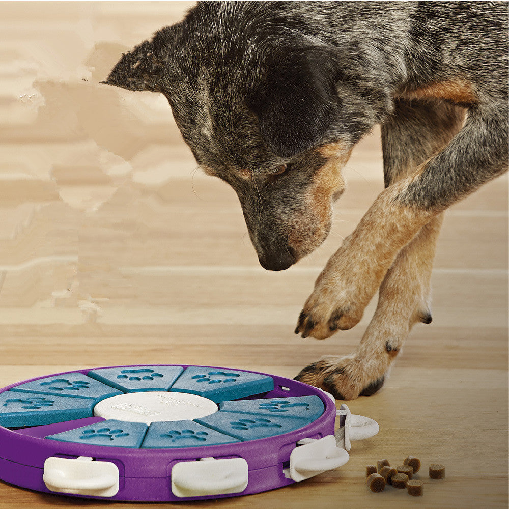 Dog Enrichment Toy