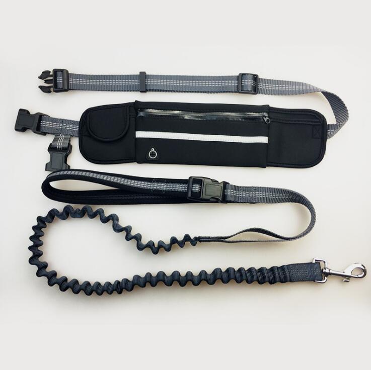 Hands-Free Adjustable Dog Leash