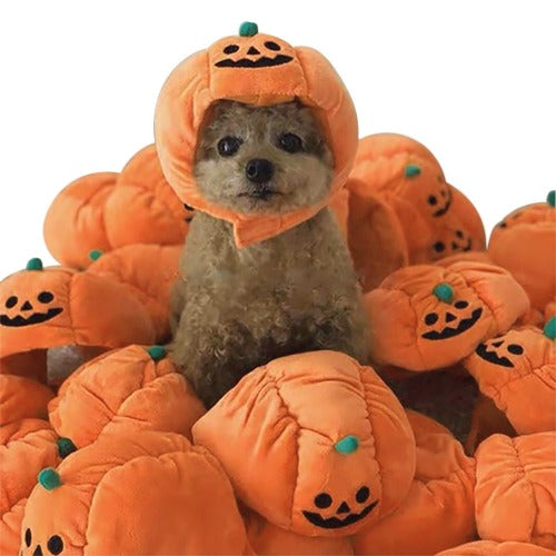 Adorable Pumpkin Pet Halloween Hat