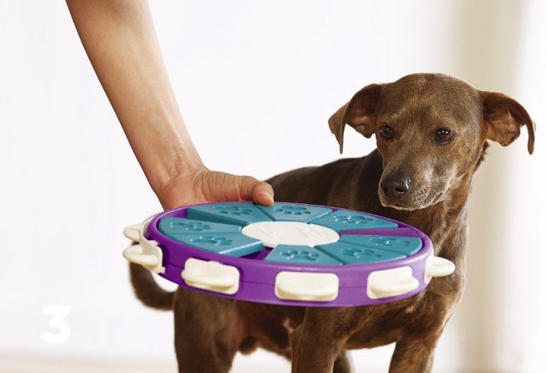 Dog Enrichment Toy