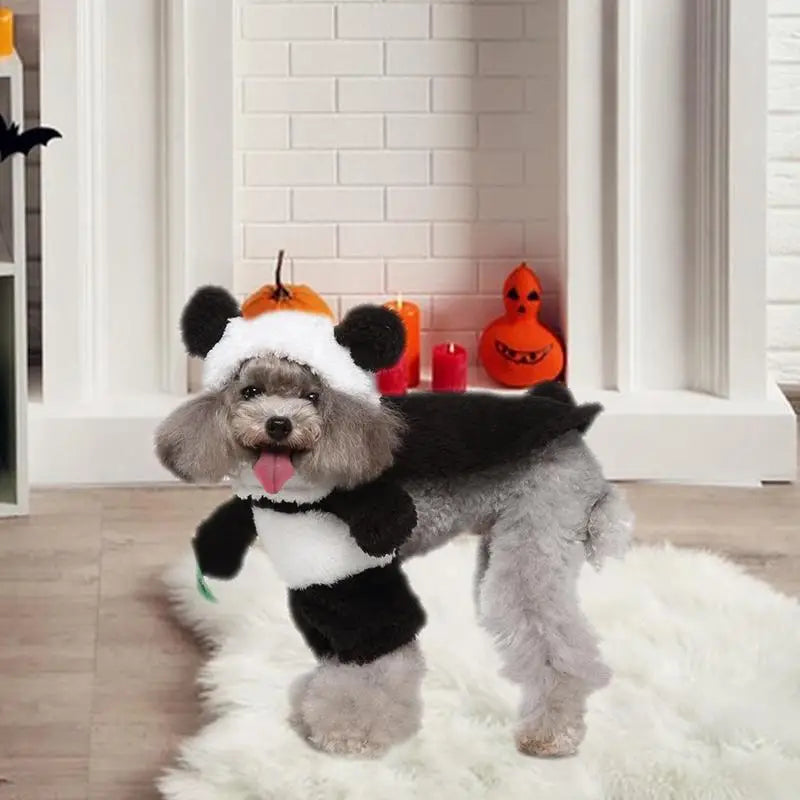 Halloween Dog Costumes