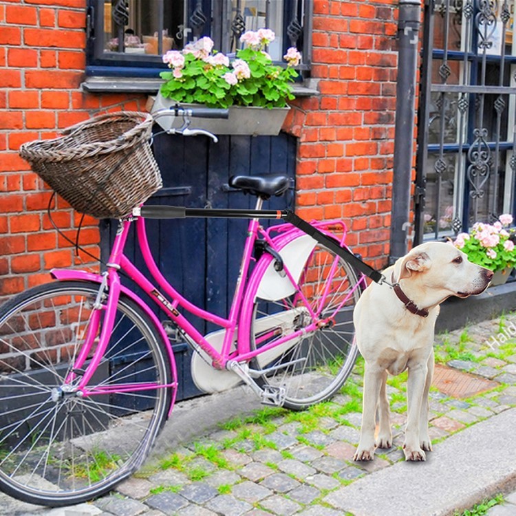 Detachable Dog Walker Bike Harness