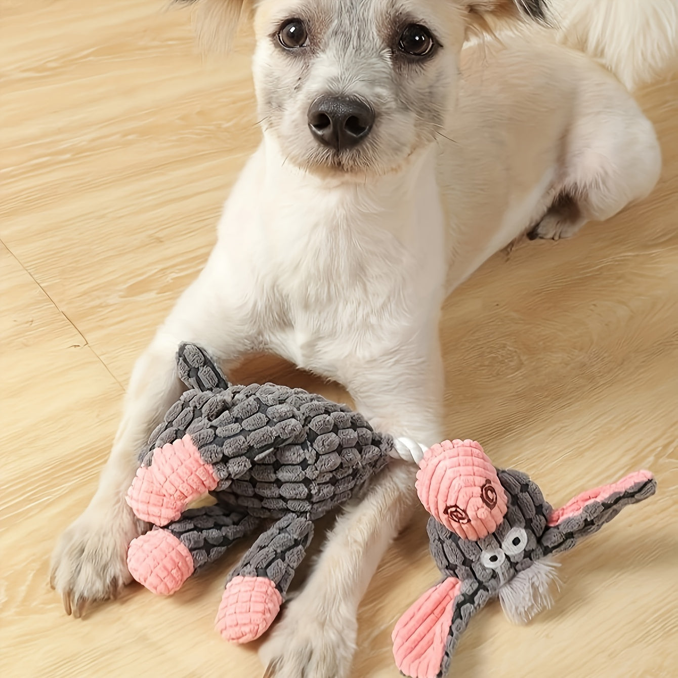 Dog Toys Pack