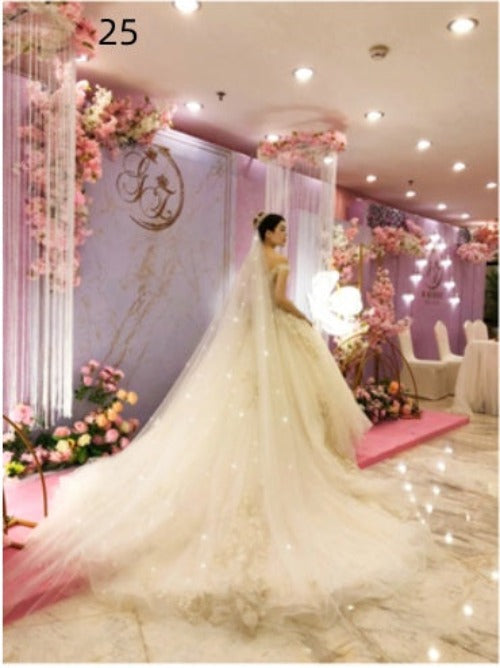 Long Fairytale Veil, your choice of style