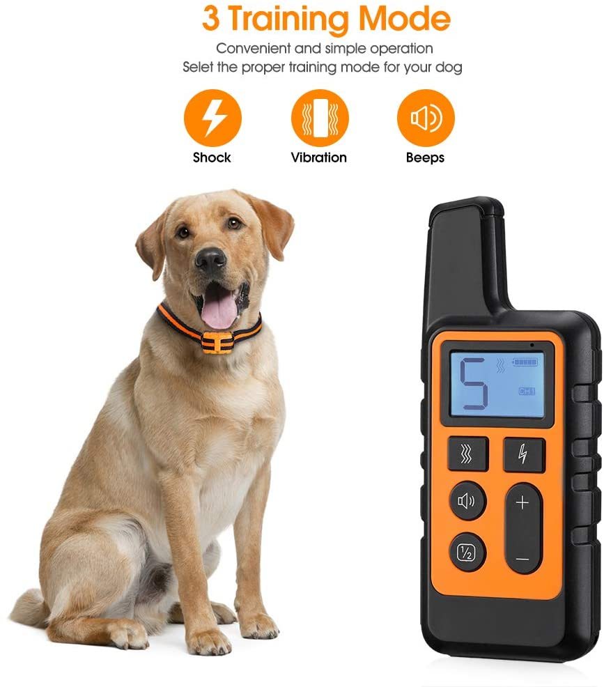 Rechargeable Dog Training Collar